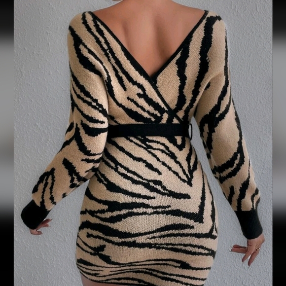 Zebra Striped Pattern Batwing Sleeve Belted Sweater Dress - Picture 3 of 4